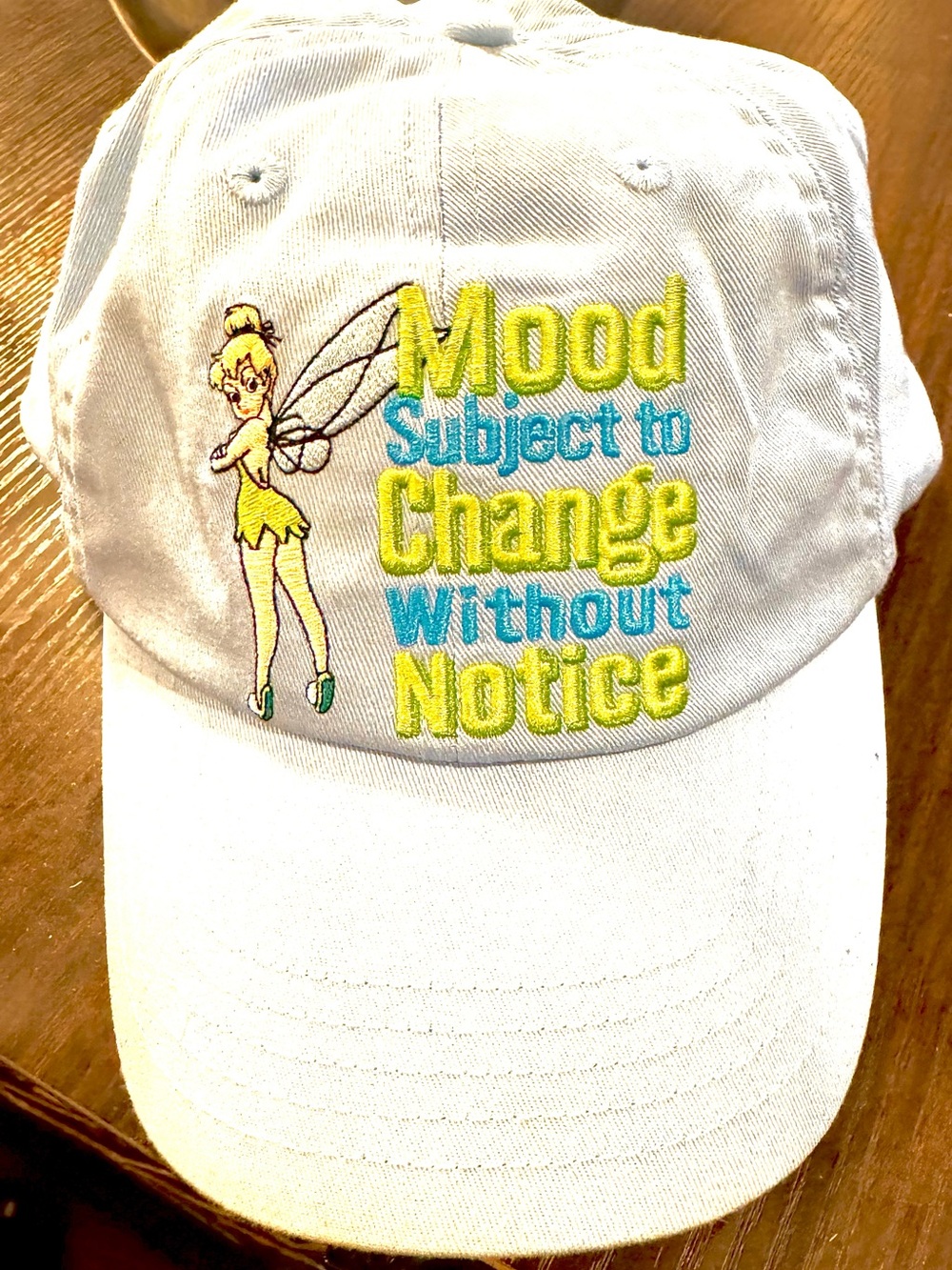 Walt Disney Tinkerbell Hat